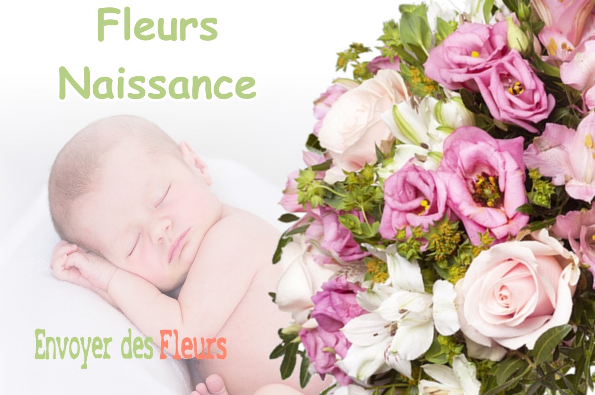 lIVRAISON FLEURS NAISSANCE à SAINT-JEAN-DE-VAULX